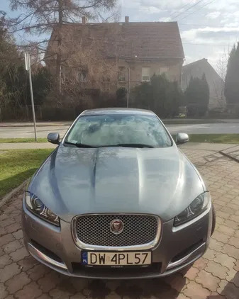 jaguar xf dolnośląskie Jaguar XF cena 68600 przebieg: 168000, rok produkcji 2014 z Gniezno